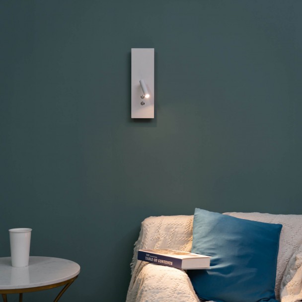 Double LED wall light