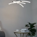 Ceiling light with design tube