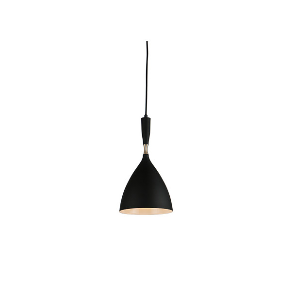 Black metal pendant light