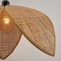 Close-up of rattan leaf natural texture - Olbia