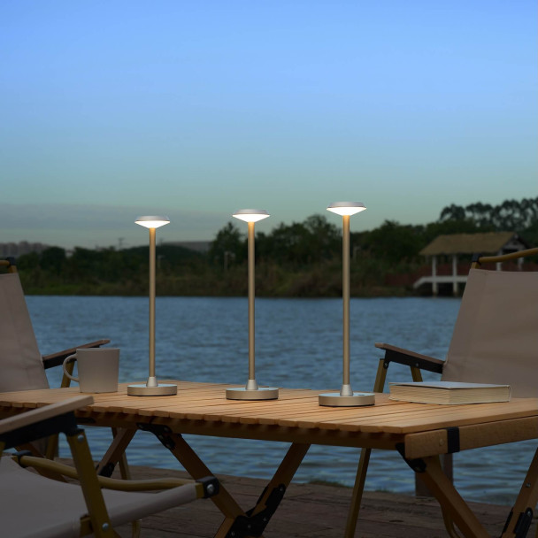 Minimalistic golden LED dimmable table lamp...