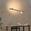Black track pendant with spot and globe - Lyne