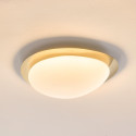Dimmable shiny gold ceiling light with opal diffuser 50 cm - Kiel