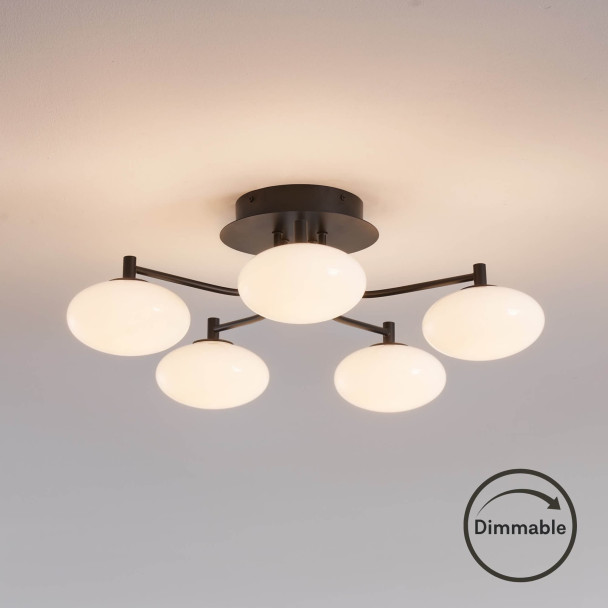 Dimmable black and white ceiling light with 5...